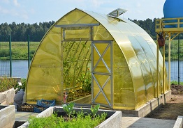 Мир теплиц — Теплицы — фото