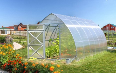 Самые популярные модели теплиц в 2026 году — Стрелка-3 ЛЮКС (ВОЛЯ) — фото