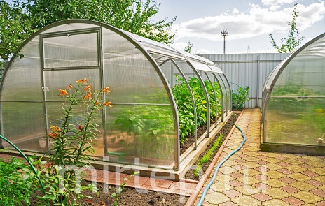Самые популярные модели теплиц в 2026 году — ТЮЛЬПАН ПРЕМИУМ "АНТИШТОРМ" (Ботаник - Беларусь) — фото
