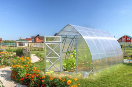 Каплевидные теплицы — Теплица Стрелка (Воля) — фото