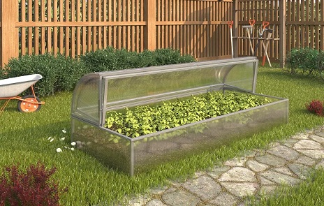 Парники — Парник Лотос — фото